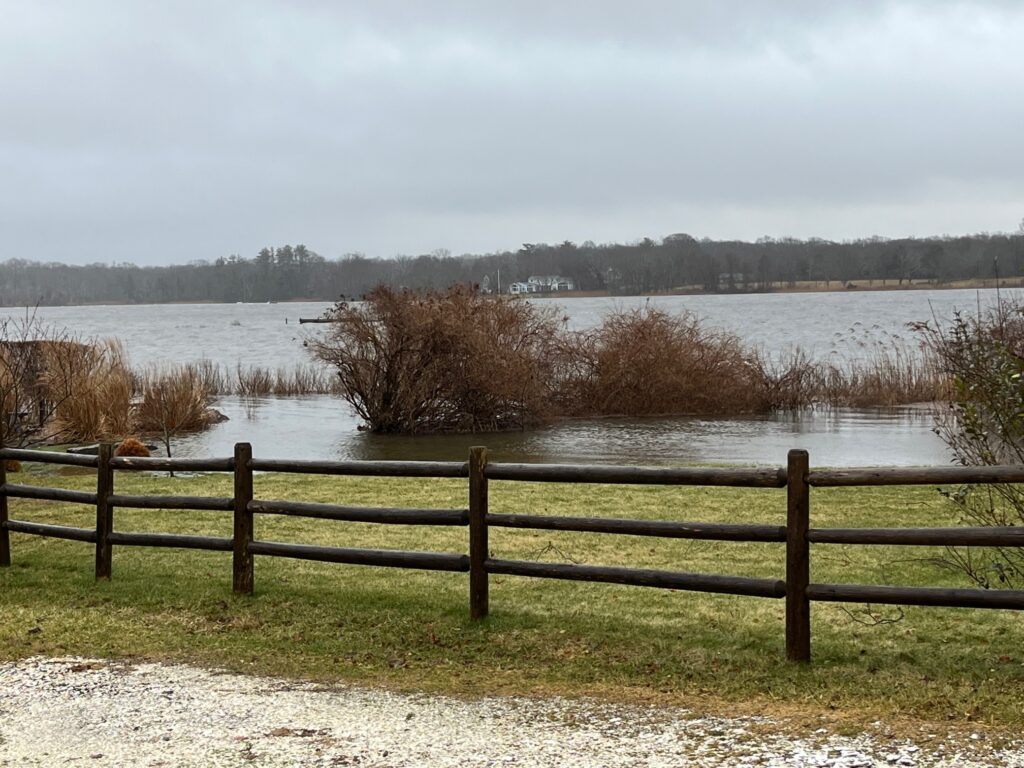 a fence in front of a lake (MyCoast AI)