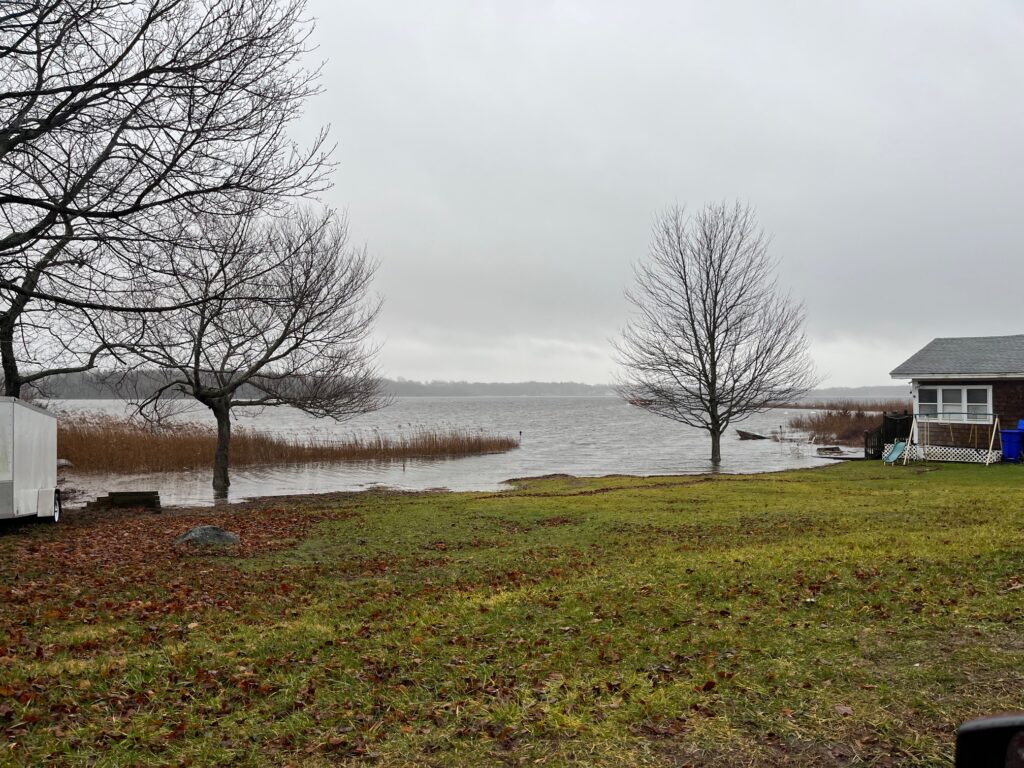 a grassy area with trees and a body of water in the background (MyCoast AI)