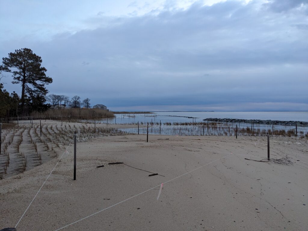 a sandy beach with a fence (MyCoast AI)