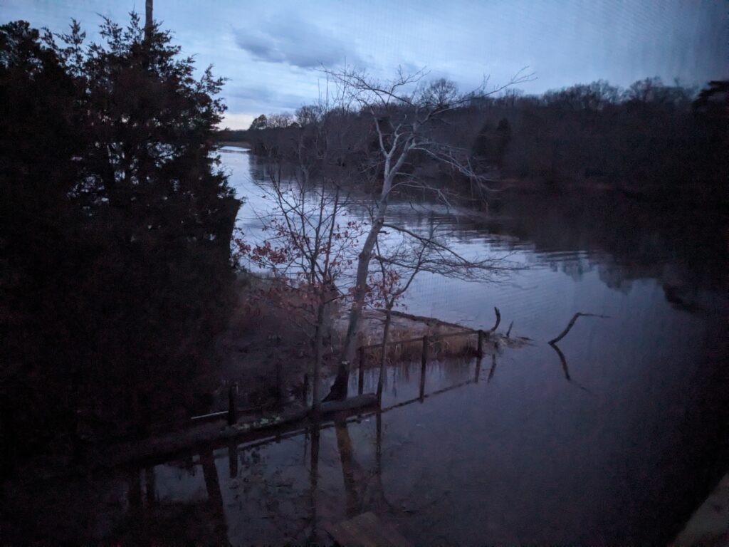a river with trees on the side (MyCoast AI)