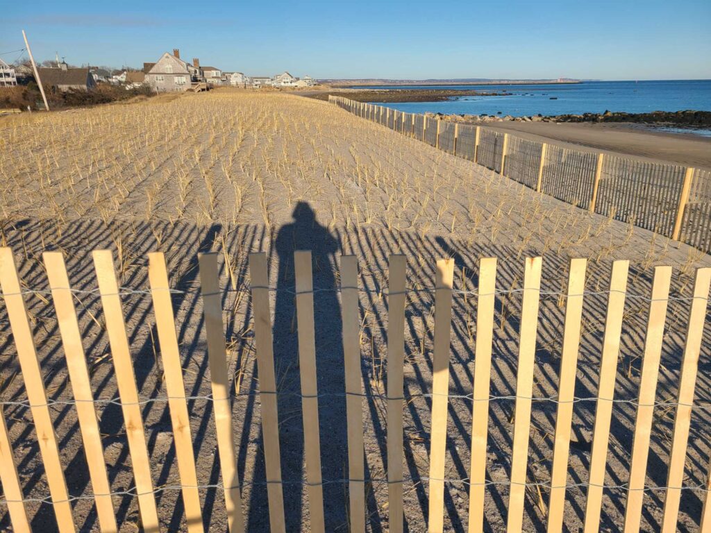 a row of wooden posts on a beach (MyCoast AI)