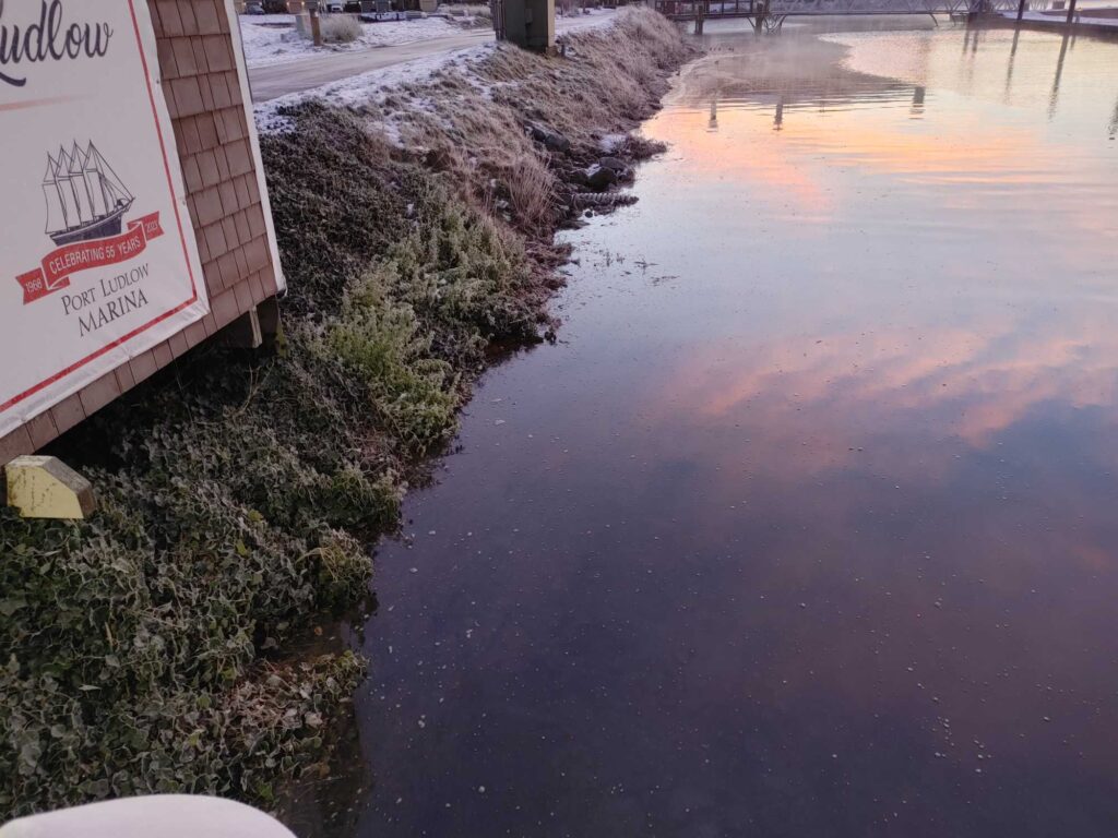 a puddle of water on a road (MyCoast AI)