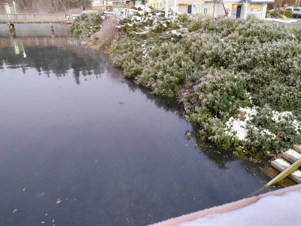 a body of water with trees and bushes around it (MyCoast AI)