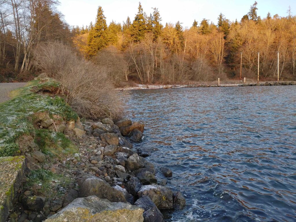 a river with rocks and trees (MyCoast AI)
