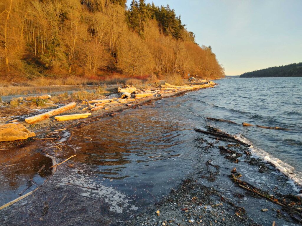a river with a yellow kayak (MyCoast AI)