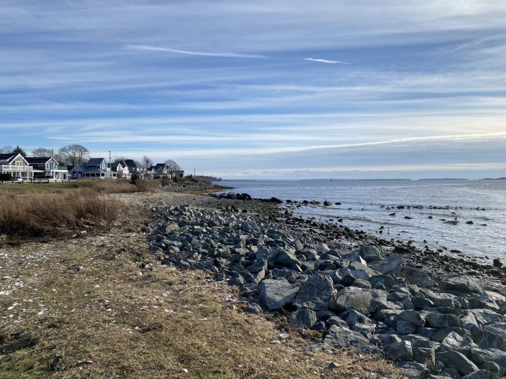 a rocky beach with houses and water (MyCoast AI)