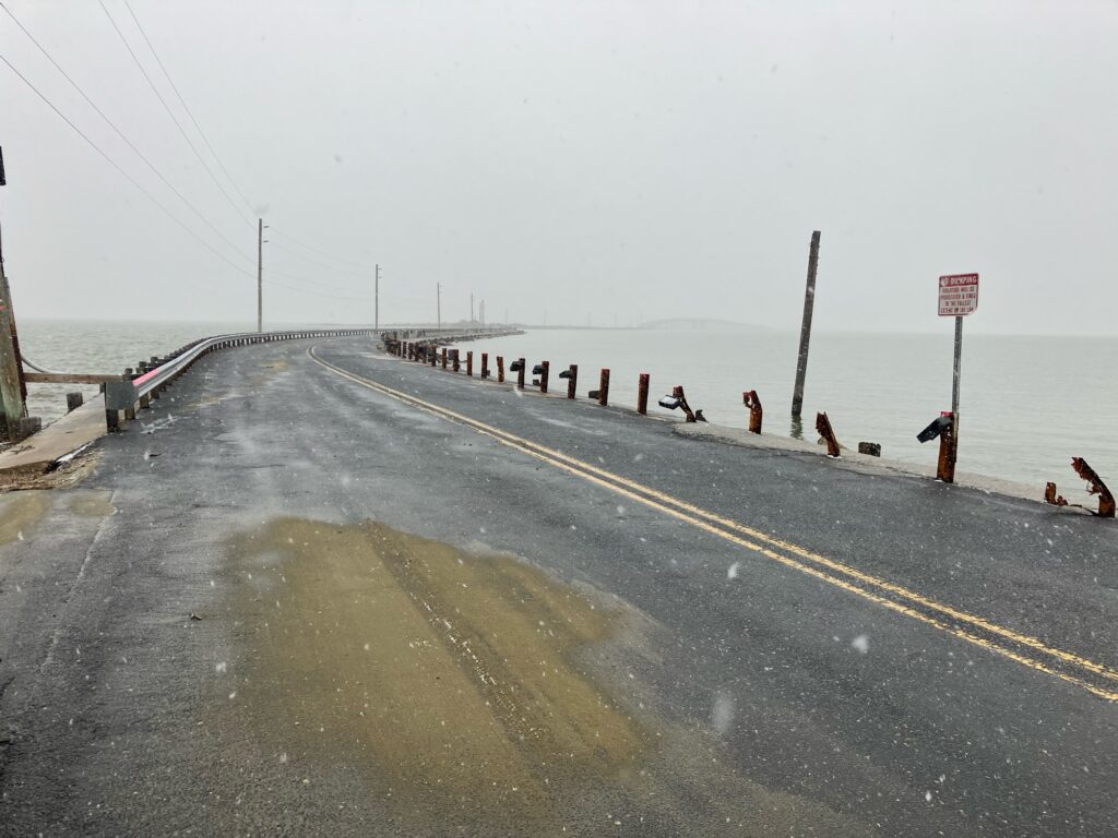 a road with a bridge over it (MyCoast AI)