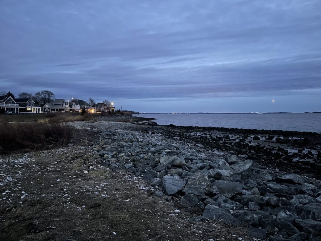 a rocky beach with houses in the background (MyCoast AI)