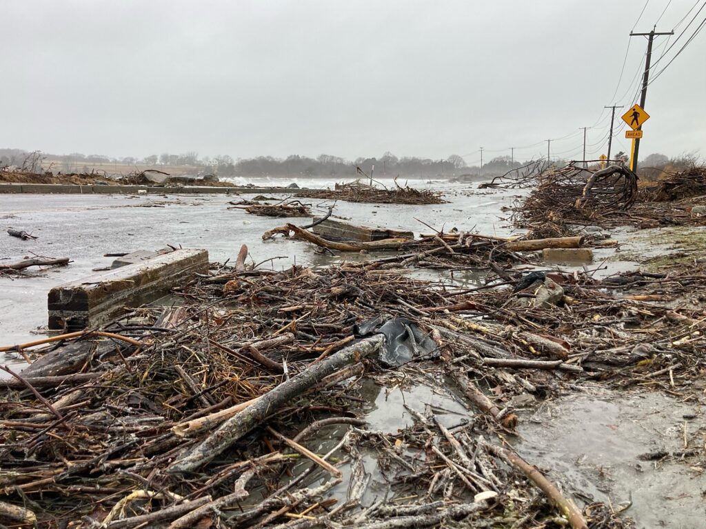 a pile of wood and debris (MyCoast AI)