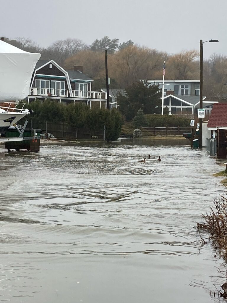 a flooded area with houses and trees (MyCoast AI)