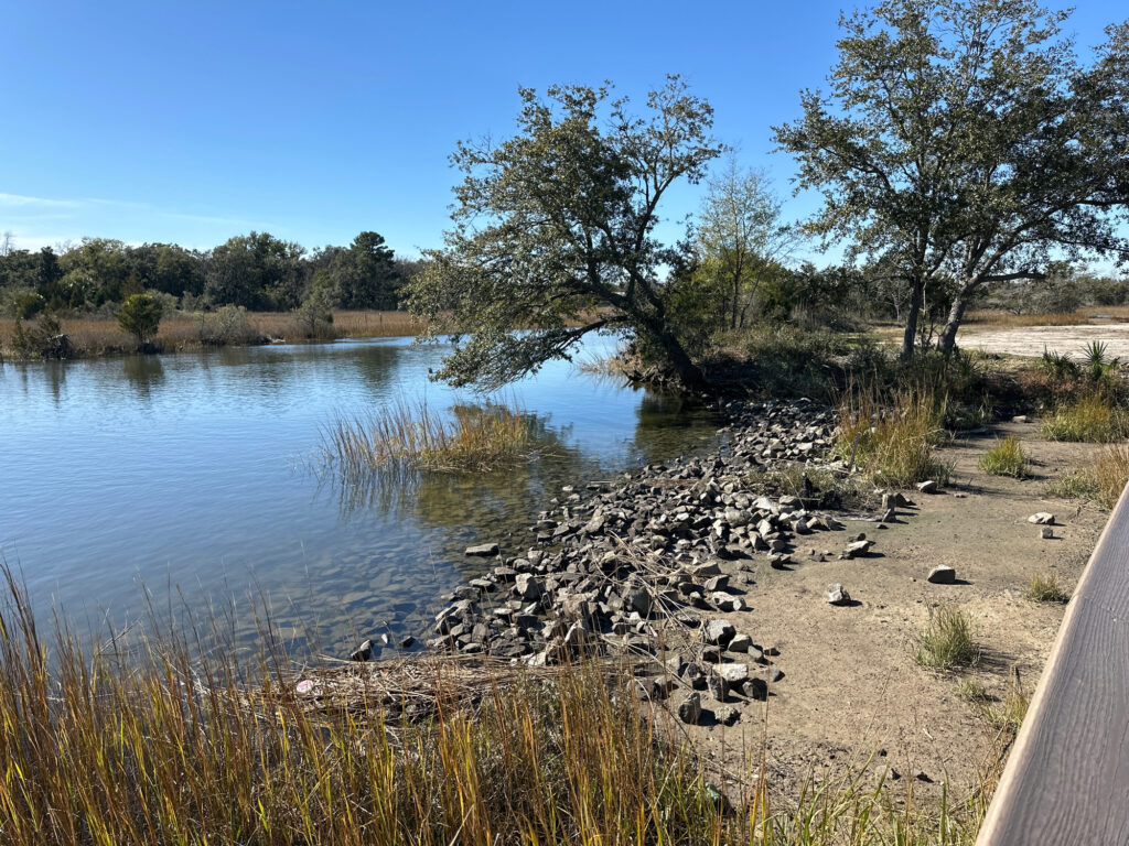 a river with rocks and trees (MyCoast AI)