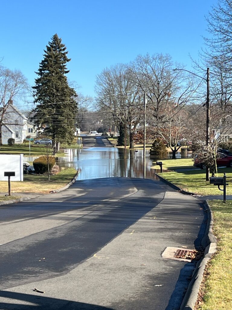 a road with a pond and trees (MyCoast AI)