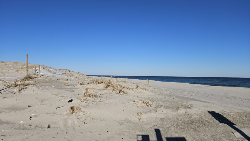 a sandy beach with a body of water in the background (MyCoast AI)