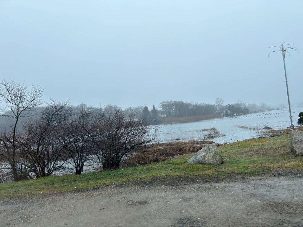 a body of water with trees and grass around it (MyCoast AI)