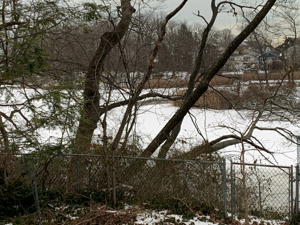 a fence and trees with snow (MyCoast AI)