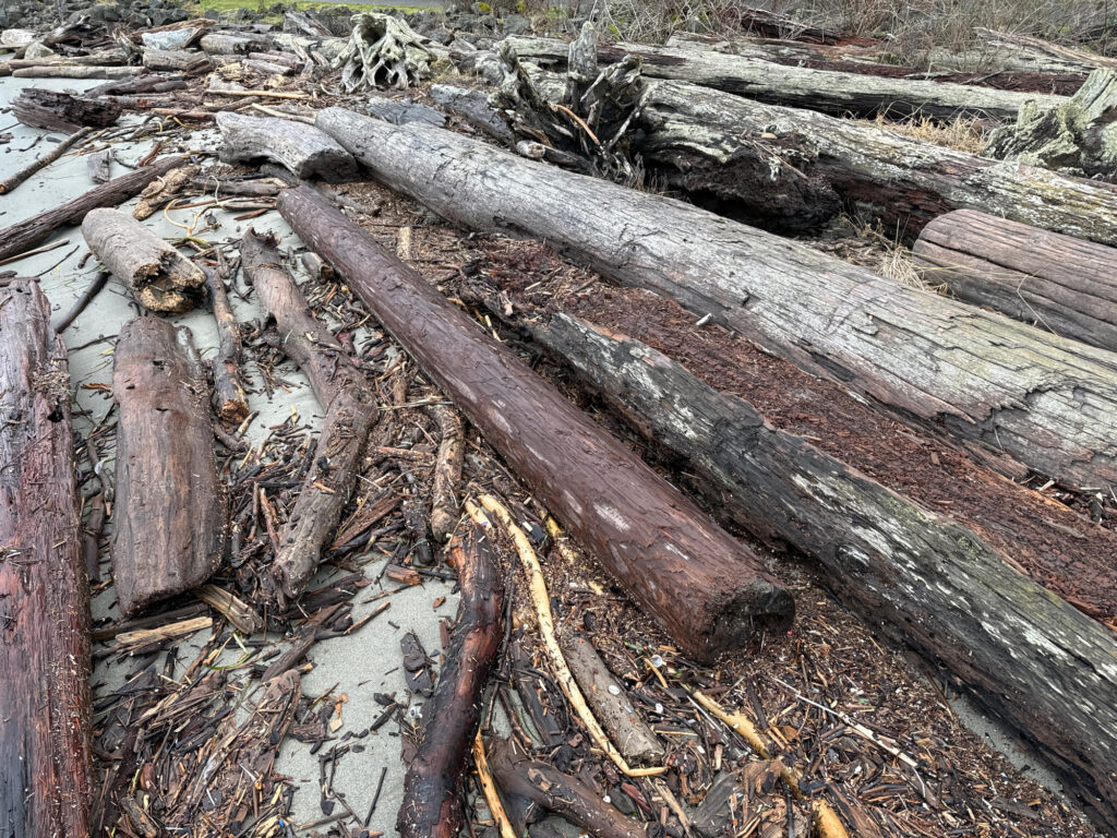 a group of logs (MyCoast AI)
