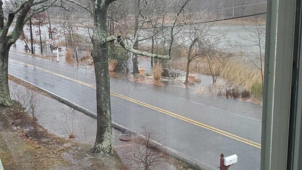 a flooded street with trees (MyCoast AI)