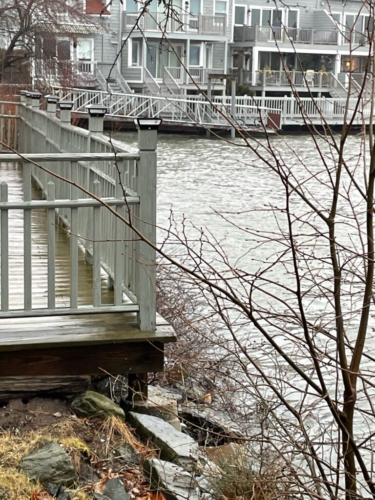 a deck with a railing and trees and buildings in the background (MyCoast AI)
