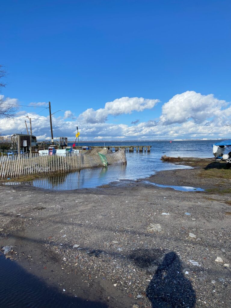 a beach with a pier and a body of water (MyCoast AI)