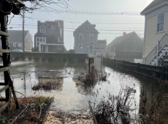 a river with a bridge and buildings (MyCoast AI)