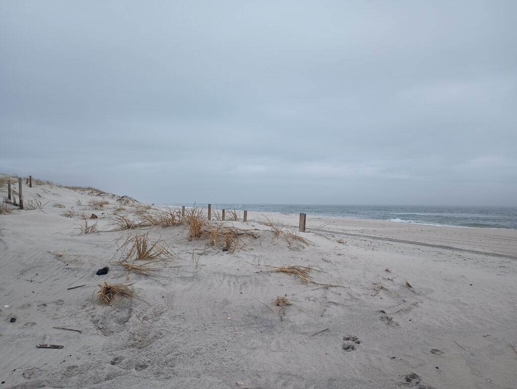 a sandy beach with a fence and water in the background (MyCoast AI)