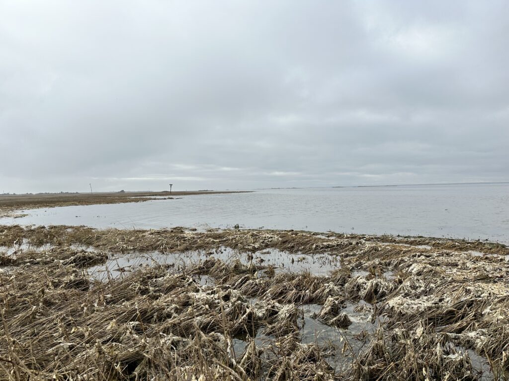 a beach with snow (MyCoast AI)