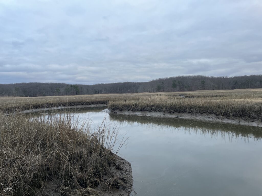 a body of water with grass and trees around it (MyCoast AI)