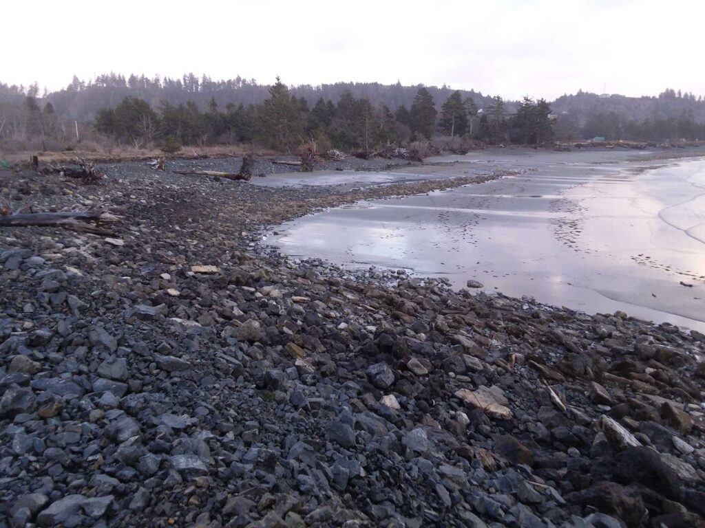 a rocky beach with a body of water in the background (MyCoast AI)