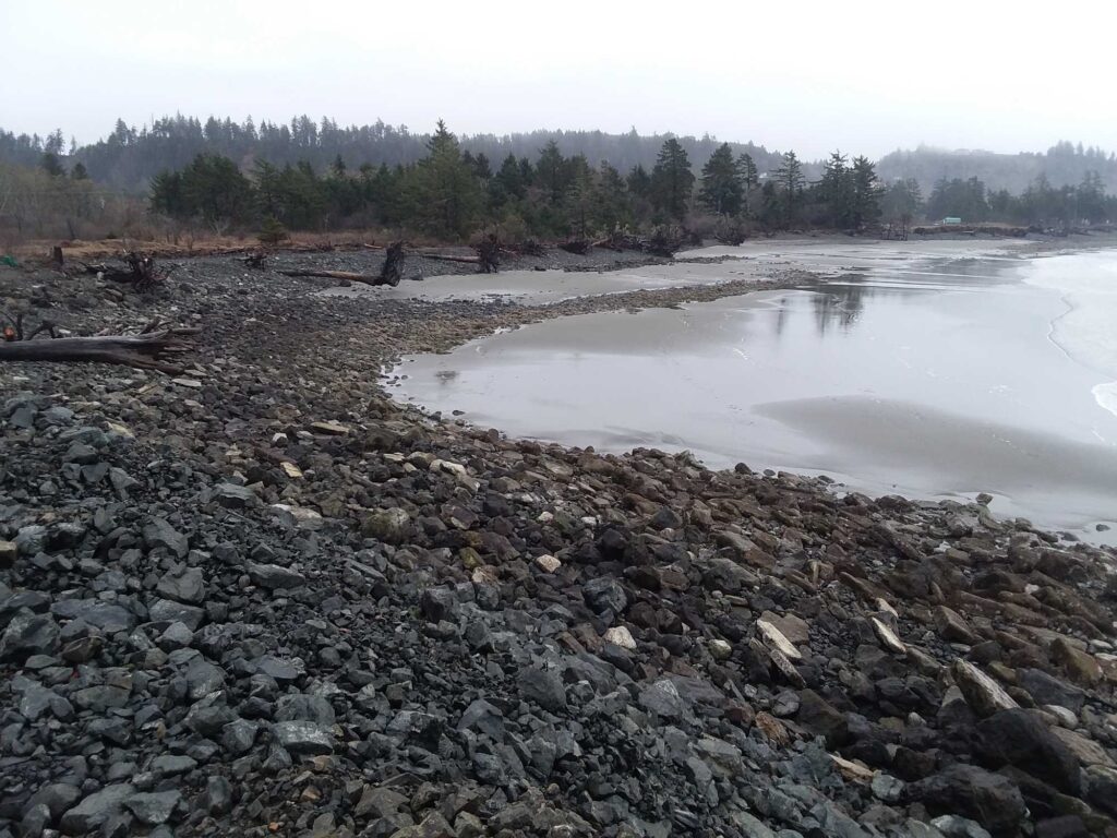 a rocky beach with a body of water in the background (MyCoast AI)