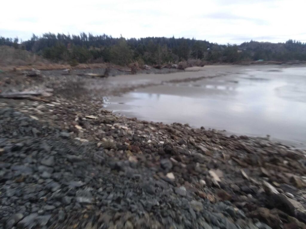 a rocky beach with trees in the background (MyCoast AI)