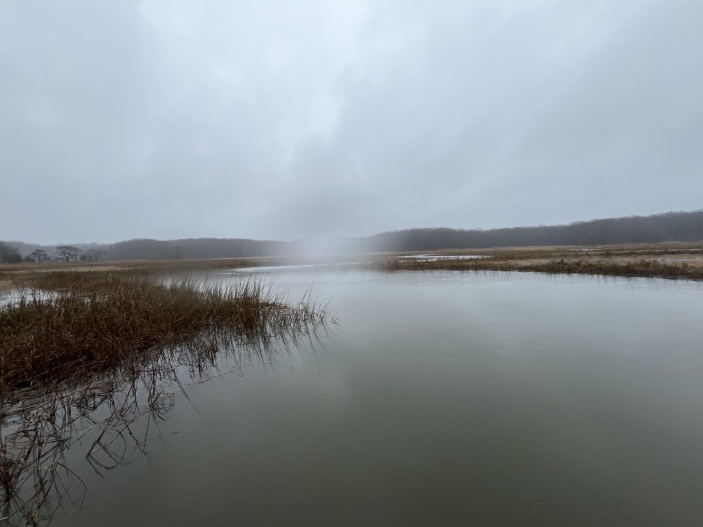 a body of water with grass and trees around it (MyCoast AI)