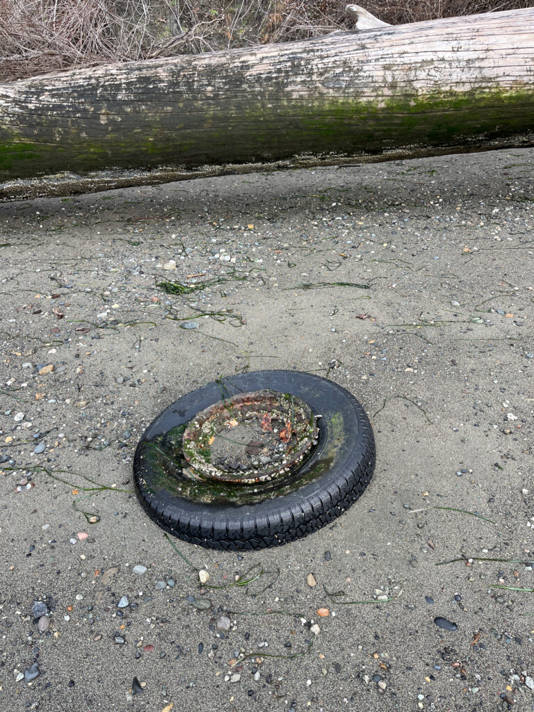 a black tire on the ground (MyCoast AI)