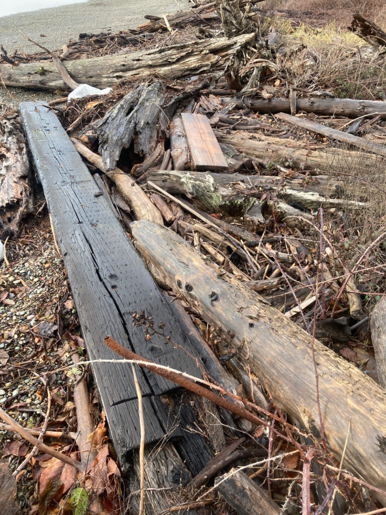 a wooden bench in the woods (MyCoast AI)