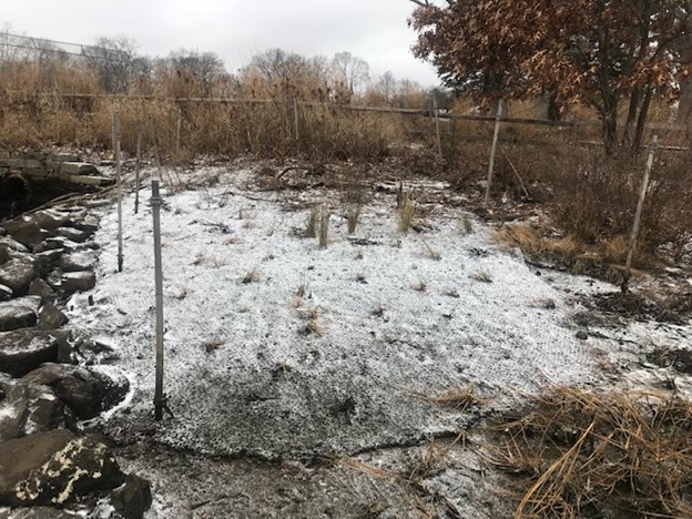a stream with snow on the sides (MyCoast AI)