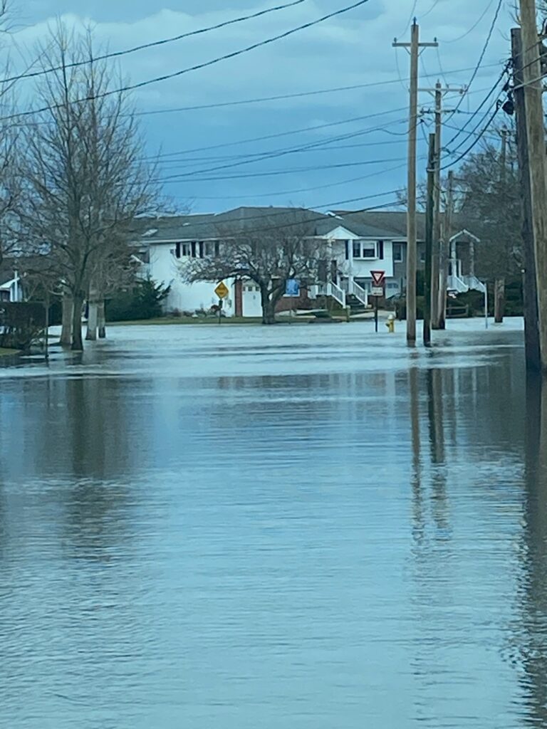 a flooded street with houses and power lines (MyCoast AI)