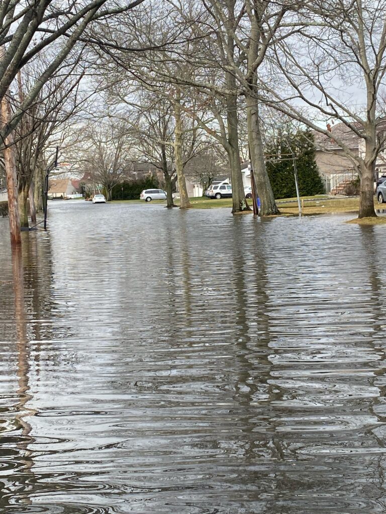 a flooded street with trees (MyCoast AI)