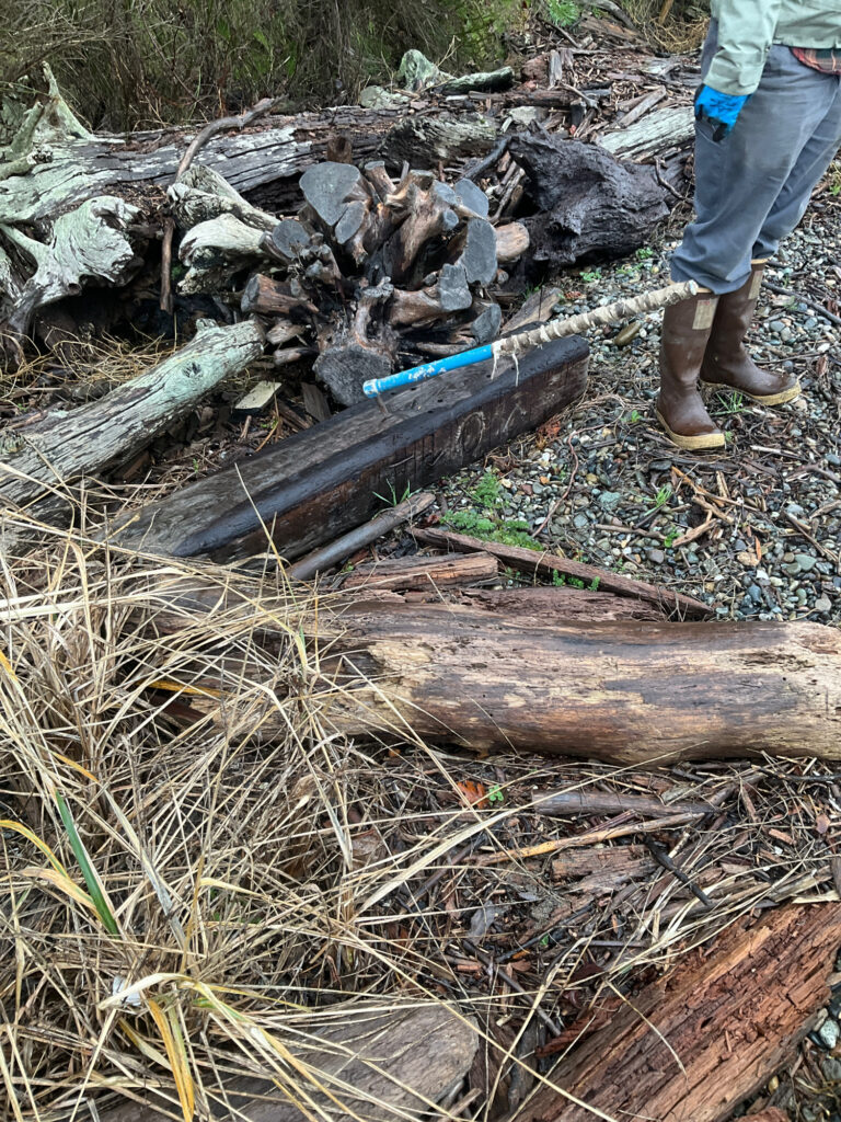 a person standing next to a pile of cut down trees (MyCoast AI)