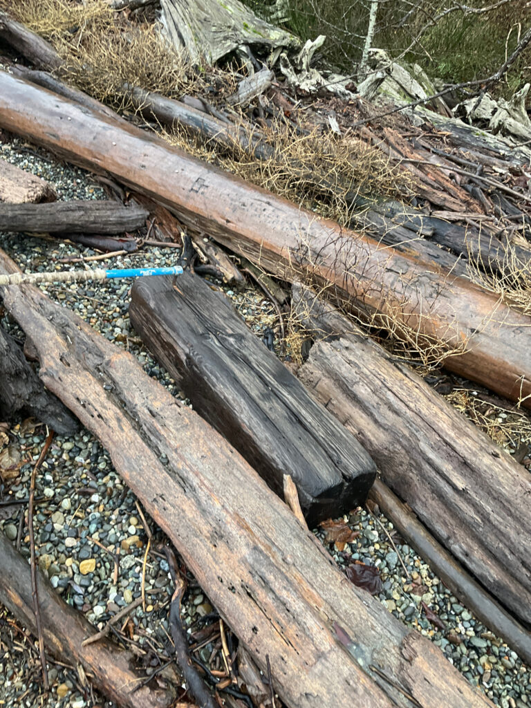 a group of wood logs (MyCoast AI)