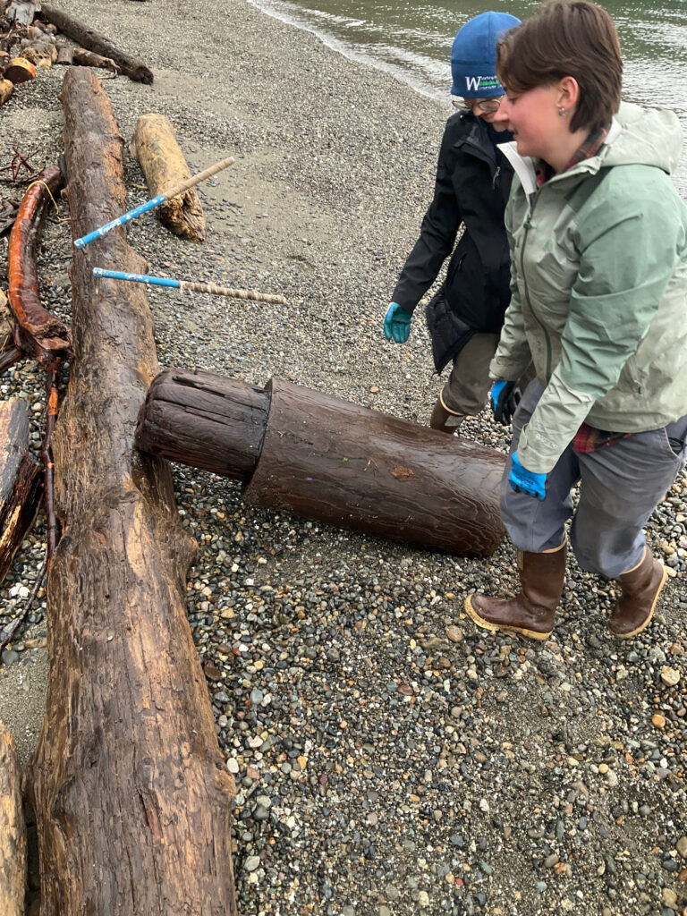 a couple of people holding a rope (MyCoast AI)