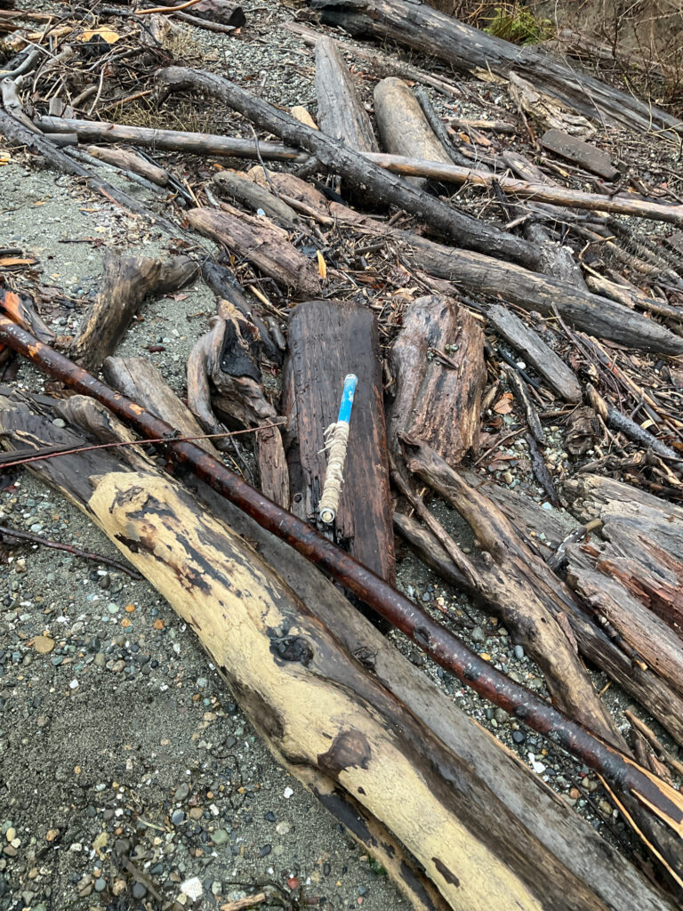 a pile of cut down trees (MyCoast AI)