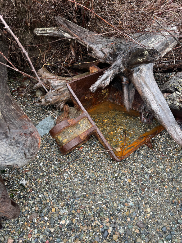 a pile of wood (MyCoast AI)