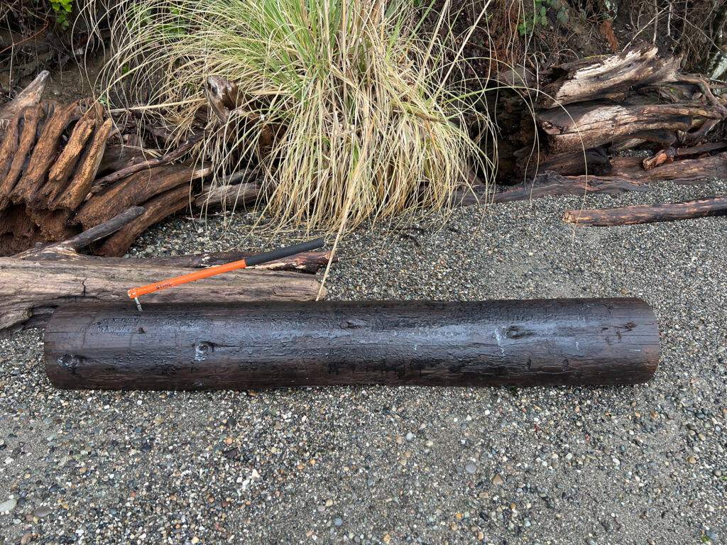 a wooden object with a stick on it next to a pile of sticks (MyCoast AI)