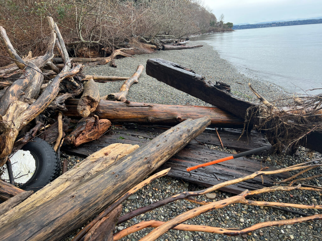 a pile of wood next to a body of water (MyCoast AI)