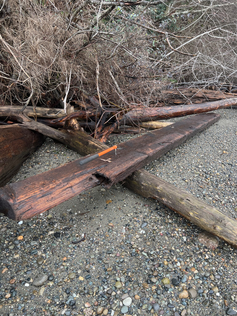 a group of logs on a rocky ground (MyCoast AI)