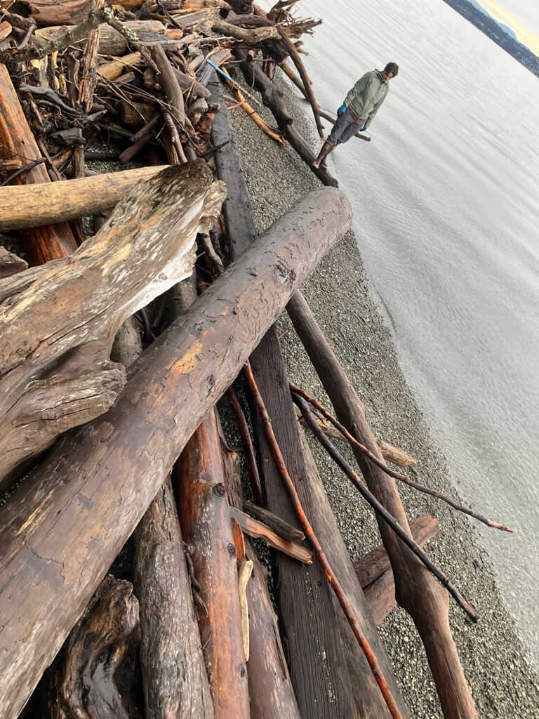 a person standing on a wooden dock (MyCoast AI)