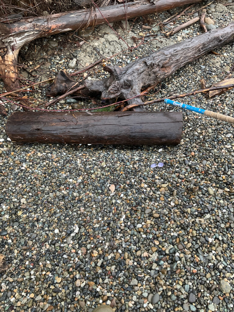 a pile of sticks and branches (MyCoast AI)