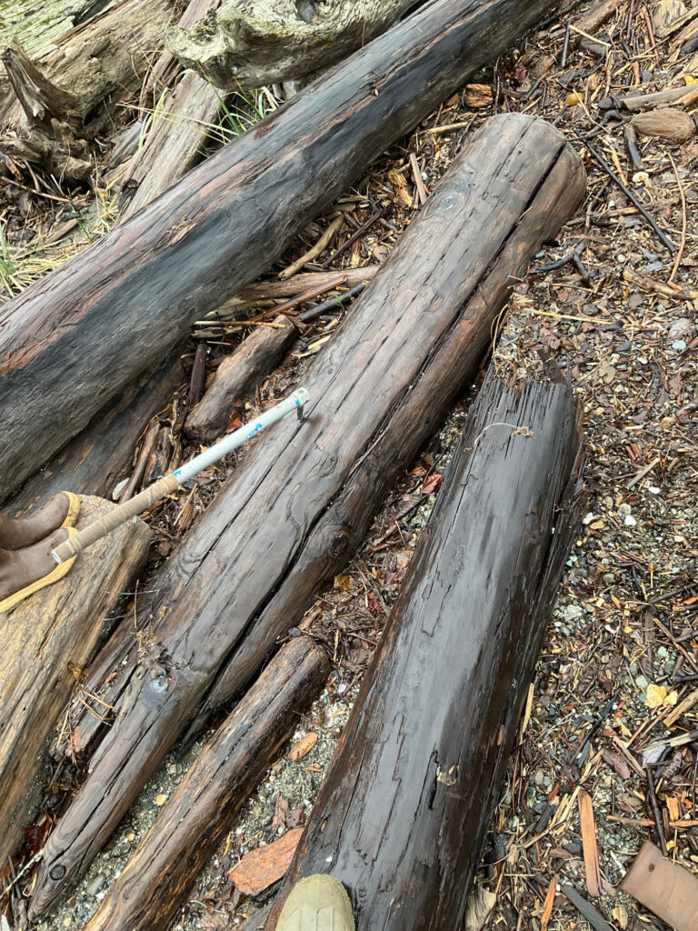 a wooden fence with a broken fence (MyCoast AI)