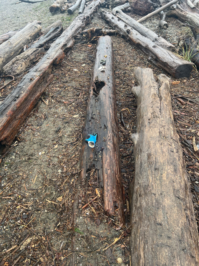 a group of wood logs (MyCoast AI)