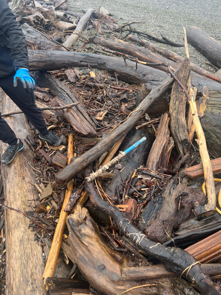 a person standing next to a pile of cut down trees (MyCoast AI)