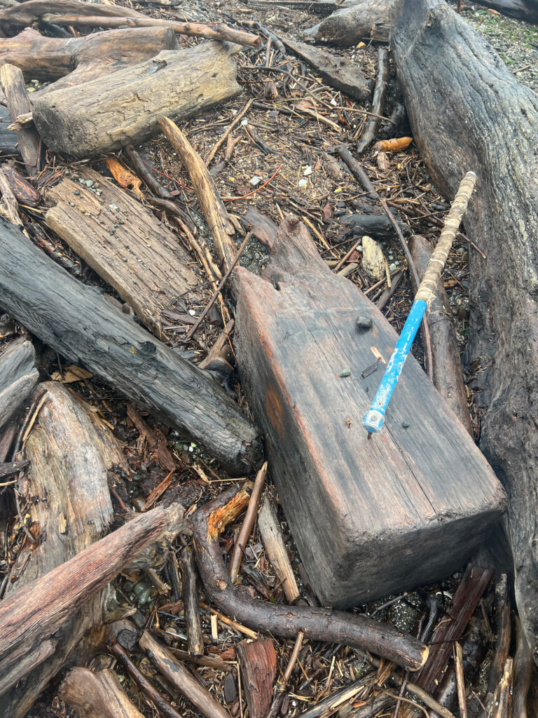 a blue knife on a wooden surface (MyCoast AI)